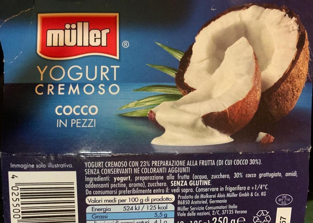 Фото - Yogurt cremoso cocco in pezzi Müller
