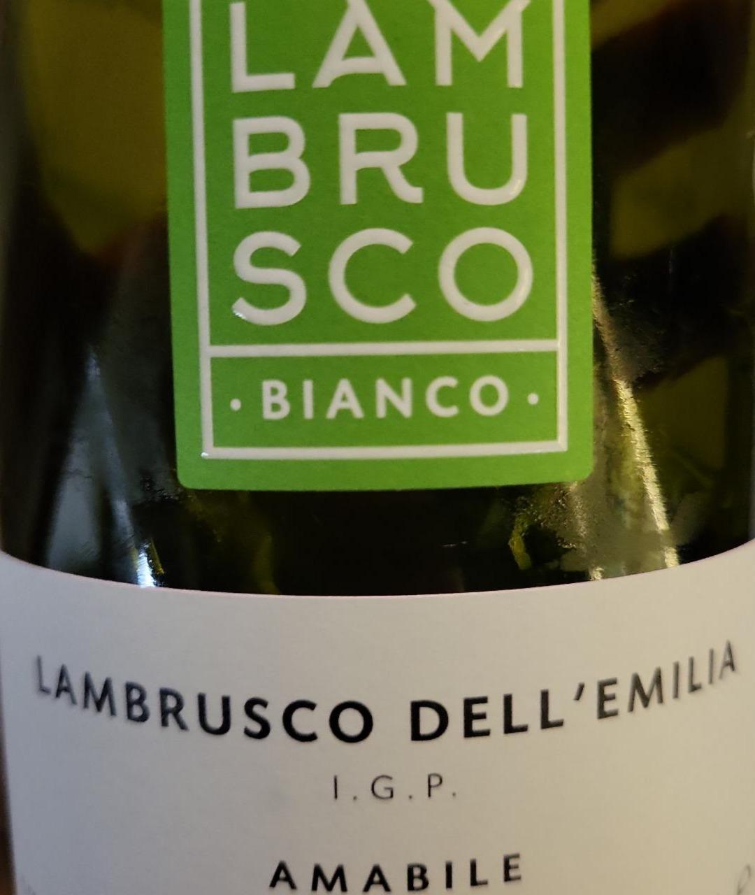 Фото - Вино ігристе Corte Rosa Bianco біле напівсолодке IGT 7.5% Lambrusco