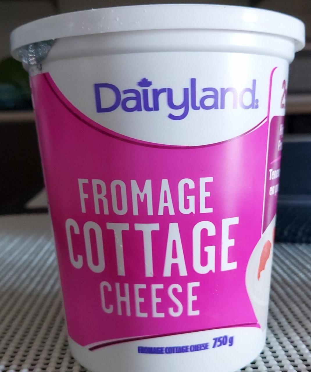 Фото - Сир кисломолочний зернистий Fromage Cottage Cheese Dairyland