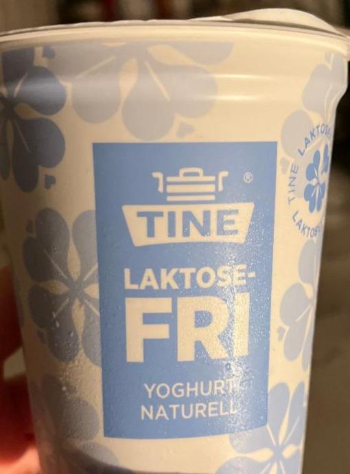Фото - Йогурт безлактозний Laktose-Fri Yoghurt Tine