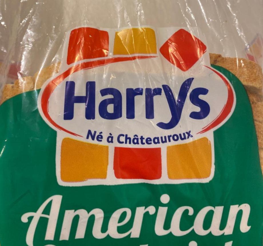 Фото - American sandwich Harrys
