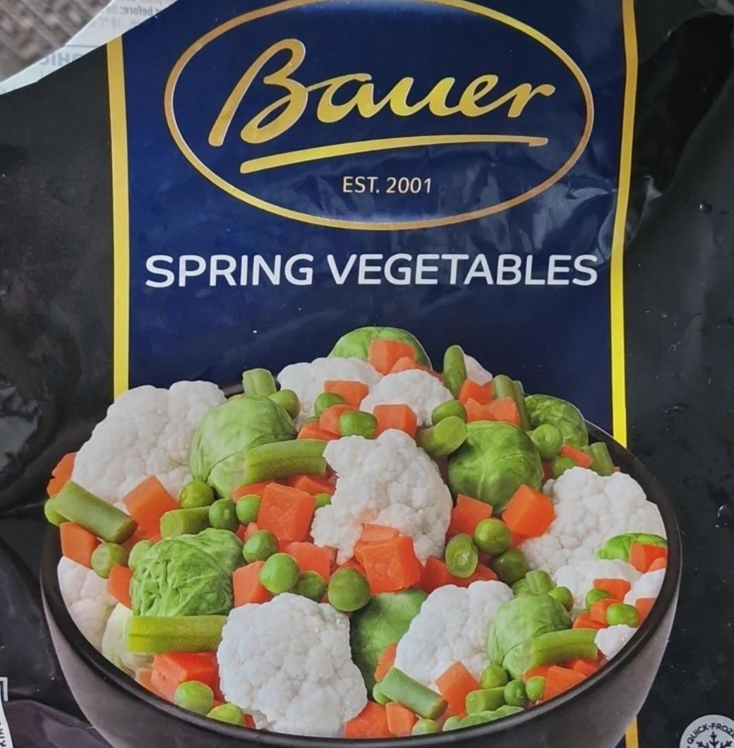 Фото - Продукт швидкого заморожування Весінні овочі Суміш овочева Spring vegetables Bauer