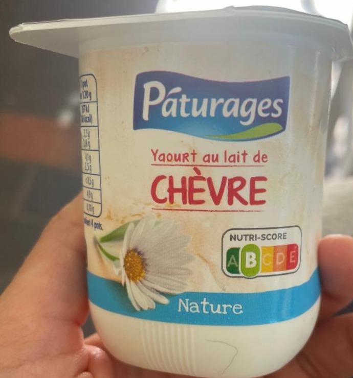 Фото - Yaourt au lait de chèvre Páturages