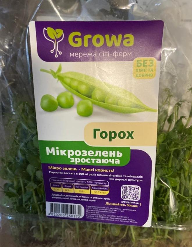 Фото - Горох мікрозелень зростаюча Growa