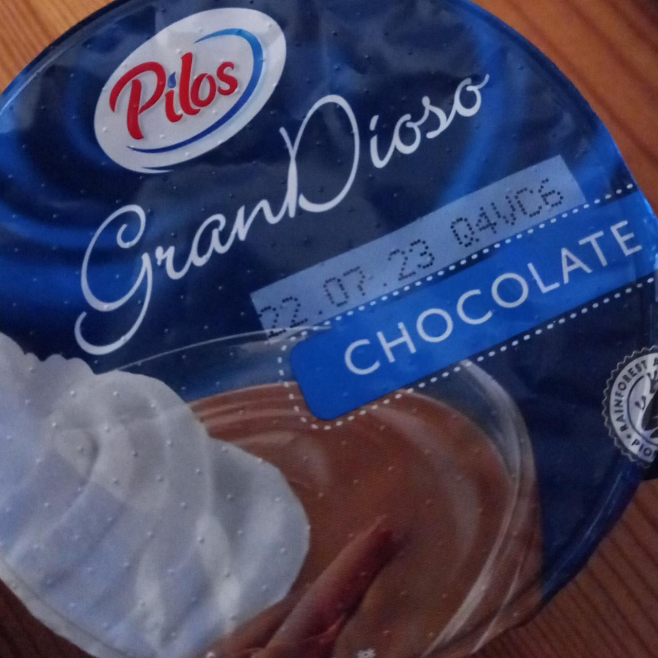 Фото - Czekoladowy pudding GranDioso Chocolate Pilos