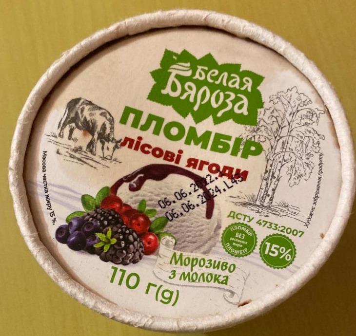 Фото - Морозиво 15% з молока Лісові ягоди Белая Бяроза