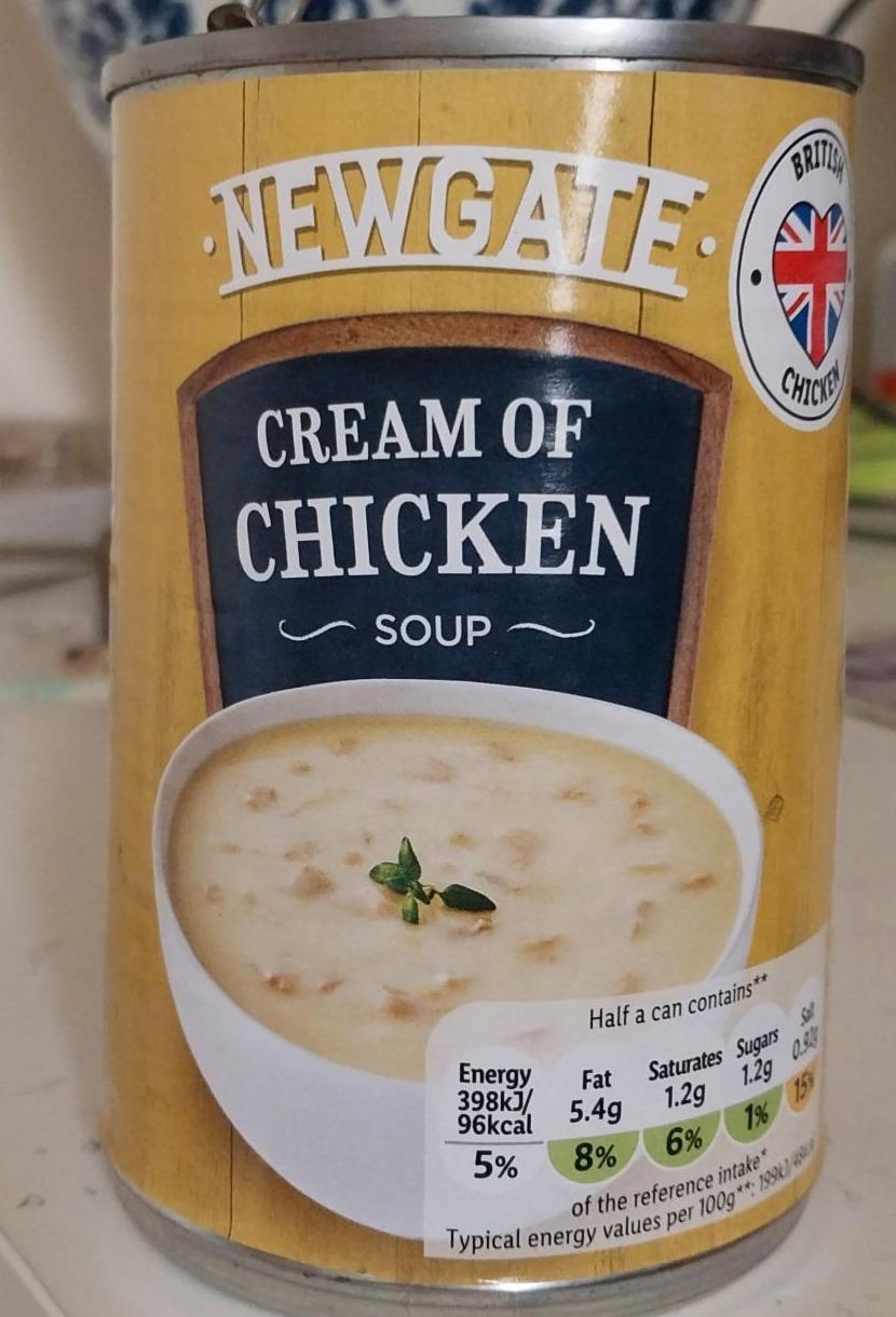 Фото - Крем-суп курячий Cream of Chicken Soup Newgate