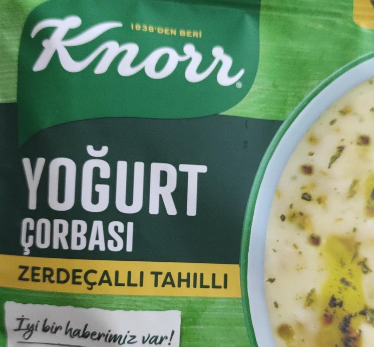 Фото - Йогурт із зернами куркуми Çorbası Knorr