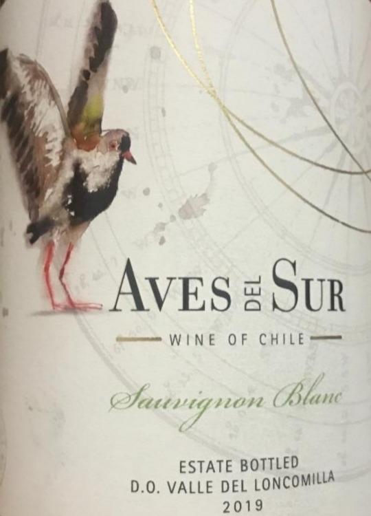 Фото - Сухе біле вино Sauvignon Blanc врожаю 2019 року виробництва Чілі Сорт винограду Совіньйон Блан Aves del Sur