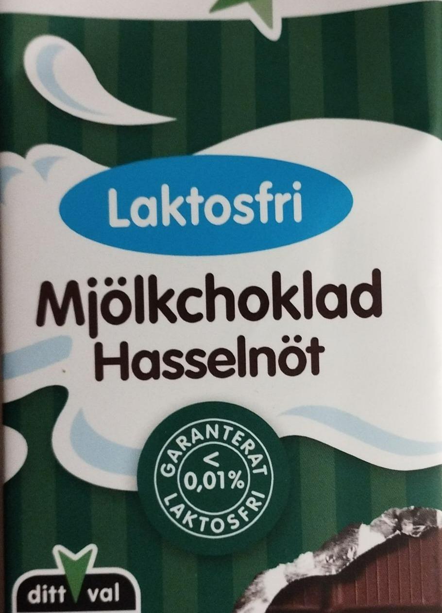 Фото - Mjölkchoklad Hasselnöt Laktosfri Green star