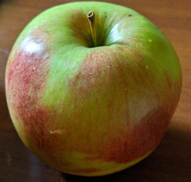 Фото - яблуко ліголь
