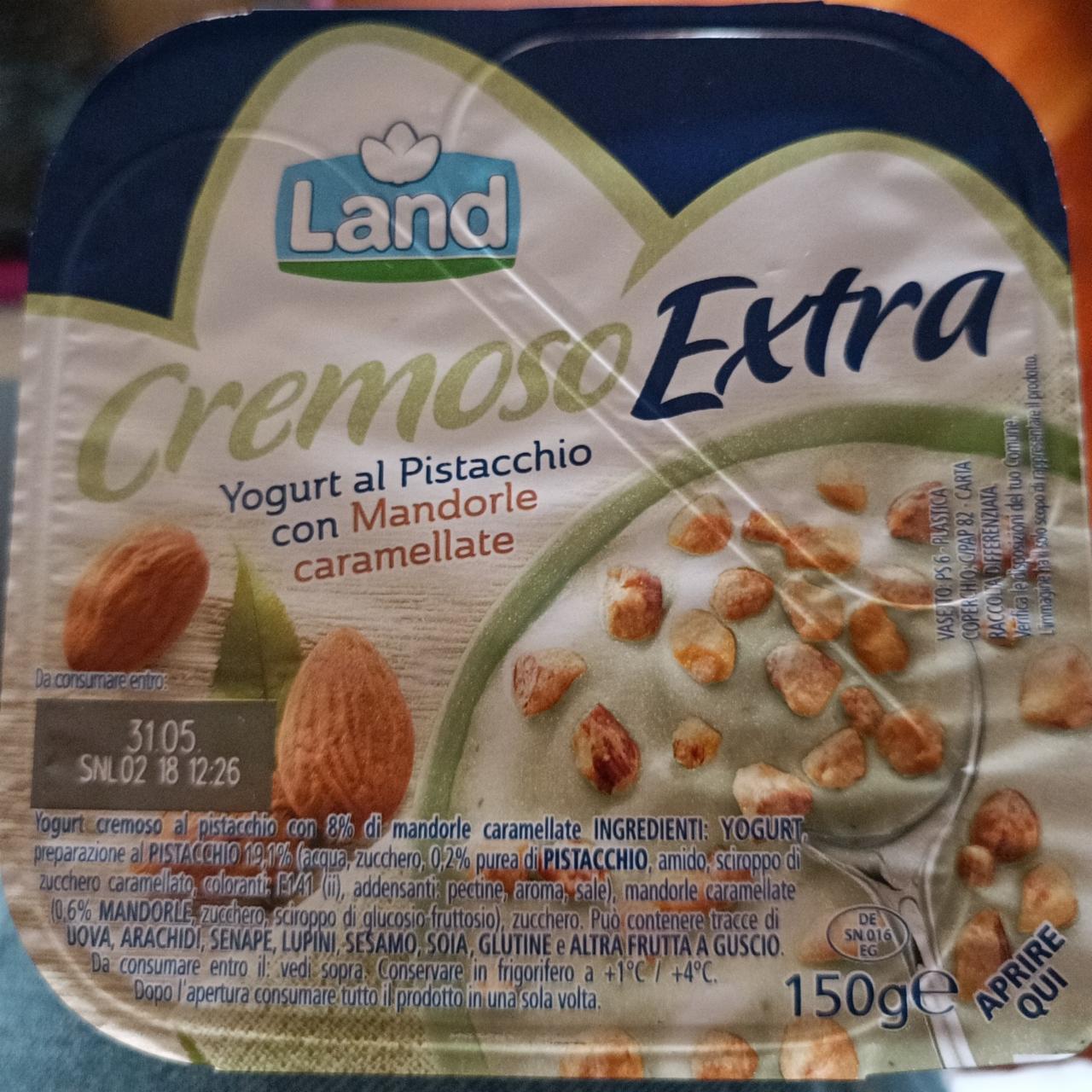 Фото - Cremoso Extra Yogurt Pistacchio con Mandorle caramellate Land