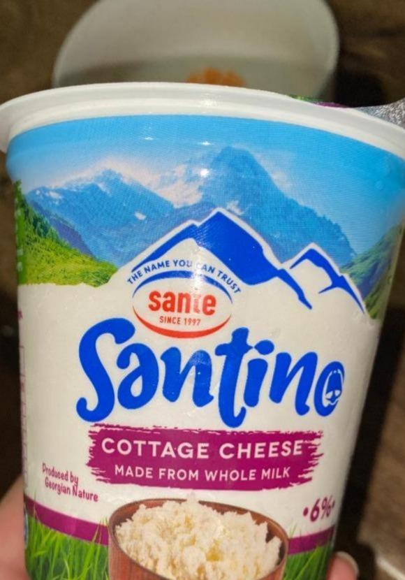 Фото - Сир кисломолочний 6% Cottage Cheese Santino Sante