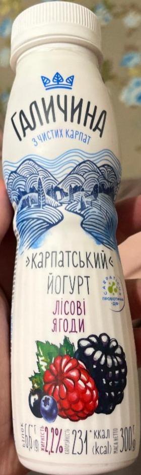Фото - Йогурт 2.2% Лісові ягоди Карпатський Галичина