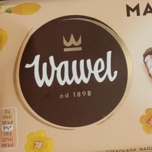 Фото - Шоколад з манго та м'яти Wawel