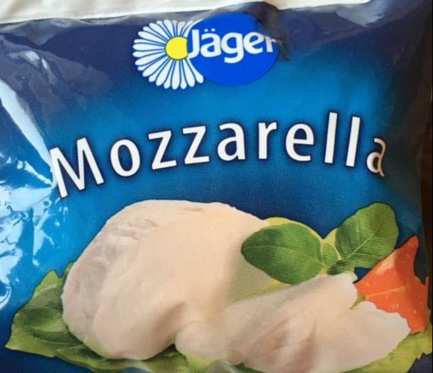 Фото - Сир м'який Моцарелла 45% жиру в розсолі Jäger