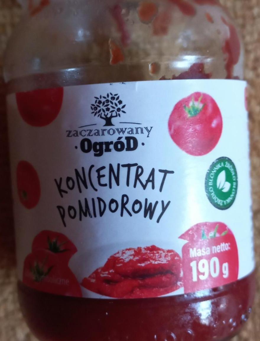 Фото - Koncentrat pomidorowy Zaczarowany Ogród