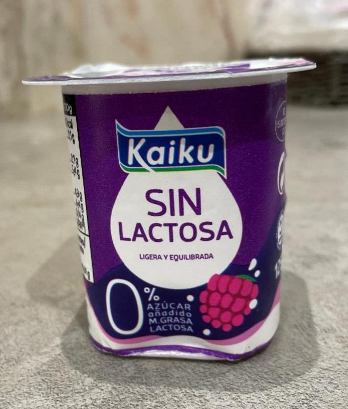 Фото - Йогурт безлактозний Sin Lactosa Kaiku