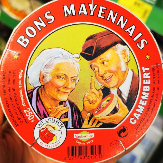 Фото - Камамбер 48% Camembert Bons Mayennais