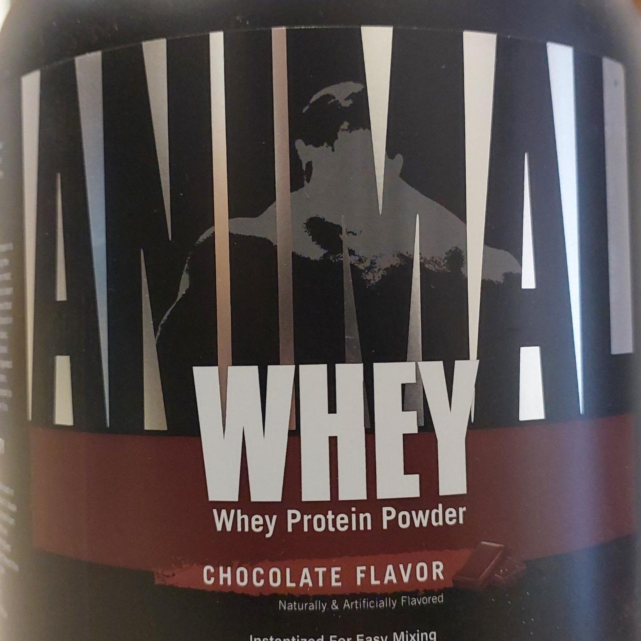 Фото - Протеїн зі смаком шоколаду Whey Protein Powder Chocolate Flavour Animal Universal Nutrition