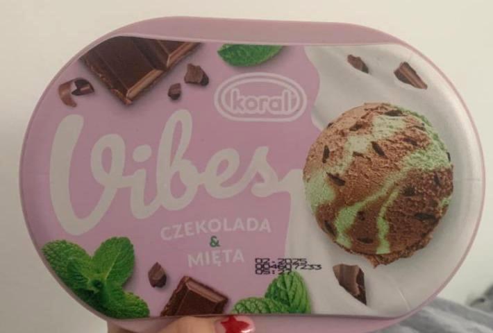Фото - Морозиво зі смаком шоколаду та м‘яти Vibes Koral