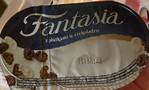Фото - Вершковий йогурт з пластівцями в шоколаді Fantasia