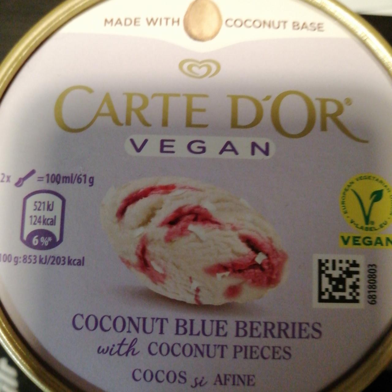 Фото - Морозиво Веганська кокосова чорниця Carte d'Or