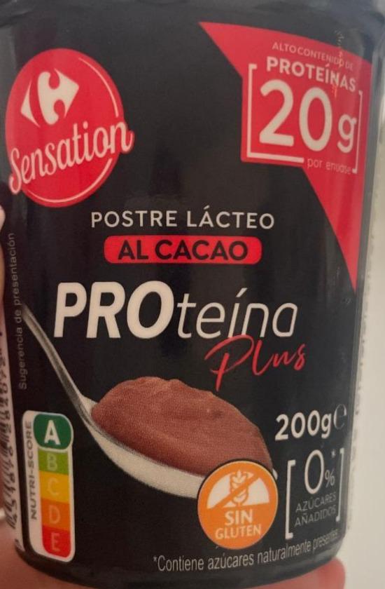 Фото - Postre 0% azucares añadidos chocolate proteina plus Carrefour