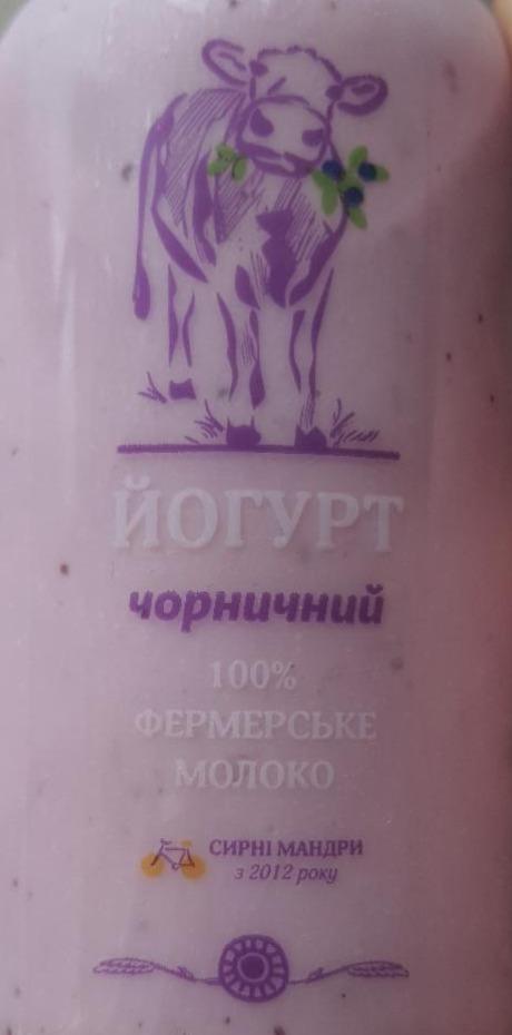 Фото - Йогурт виготовлений з коров'ячого молока 4% жиру Питний з наповнювачем Чорниця Сирні мандри