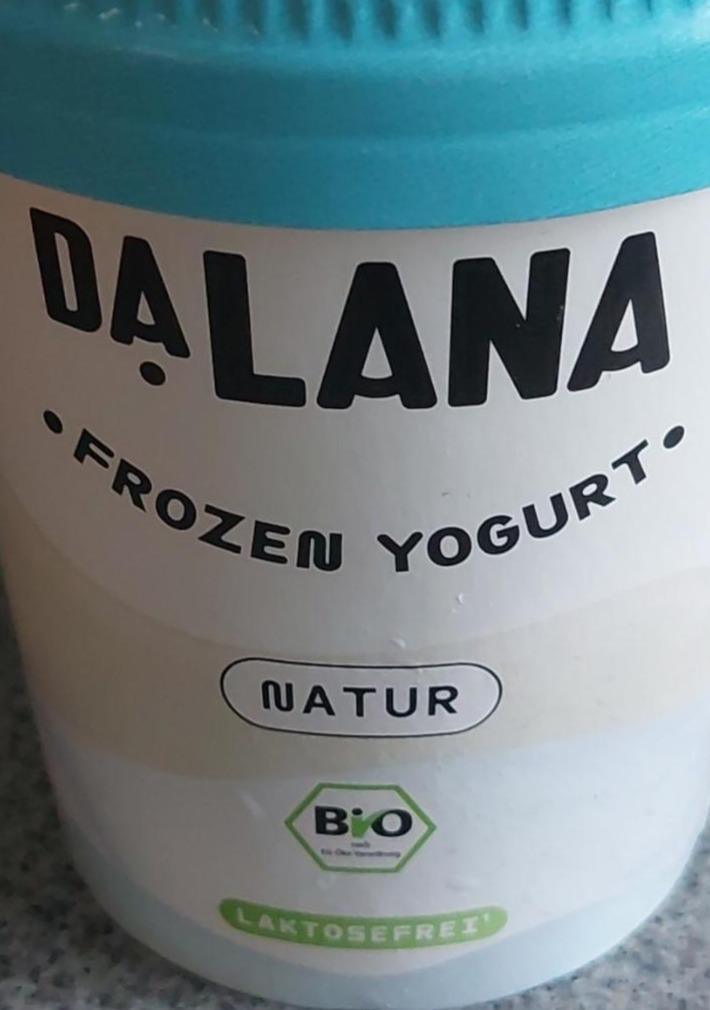 Фото - Frozen Yogurt Dalana
