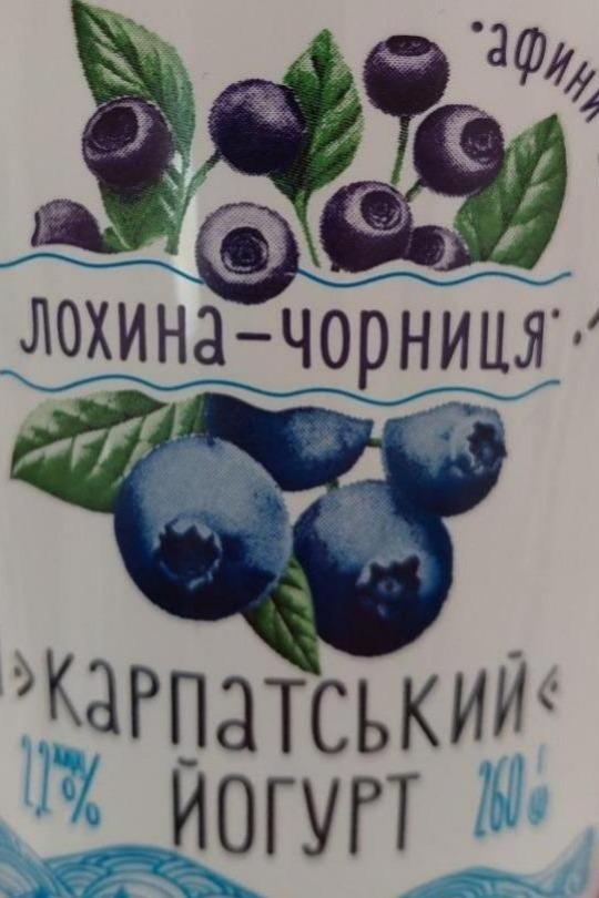 Фото - Йогурт 2.2% з фруктовим наповнювачем Лохина-Чорниця Карпатський Десертний Галичина