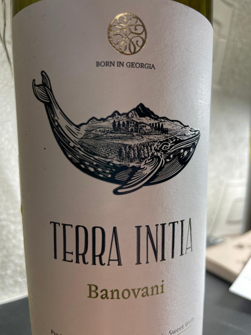 Фото - Вино 12% біле напівсолодке Banovani Terra Initia