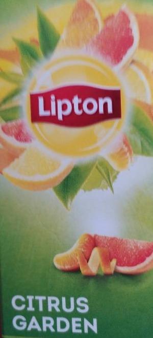 Фото - Чай зелений з ароматом грейпфрута, апельсина і мандарина Сitrus Garden Lipton
