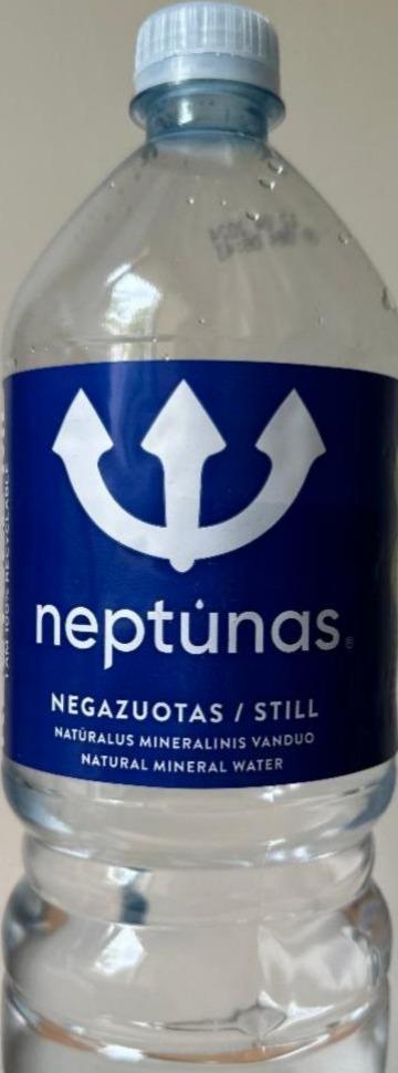 Фото - Питна вода негазована натуральна мінеральна Neptunas