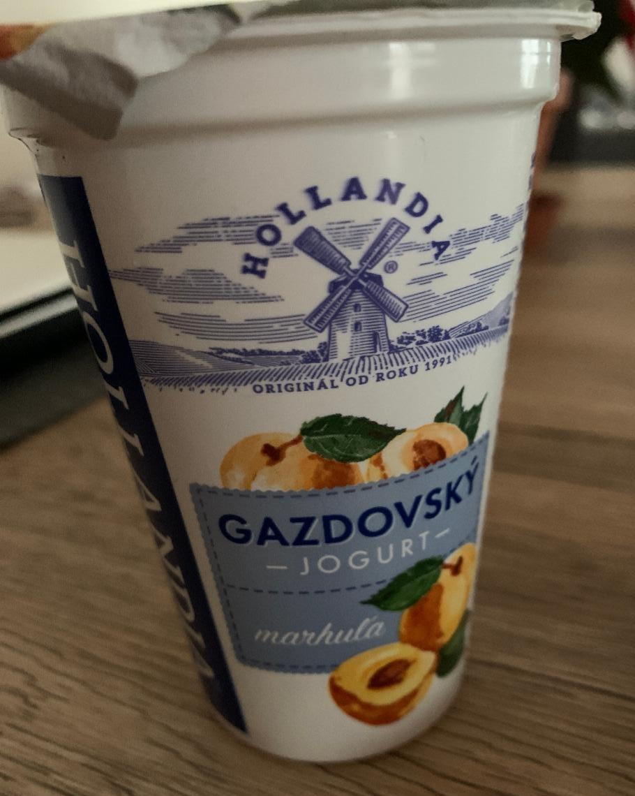 Фото - Йогурт зі смаком абрикосу Selský Jogurt Meruňka Hollandia