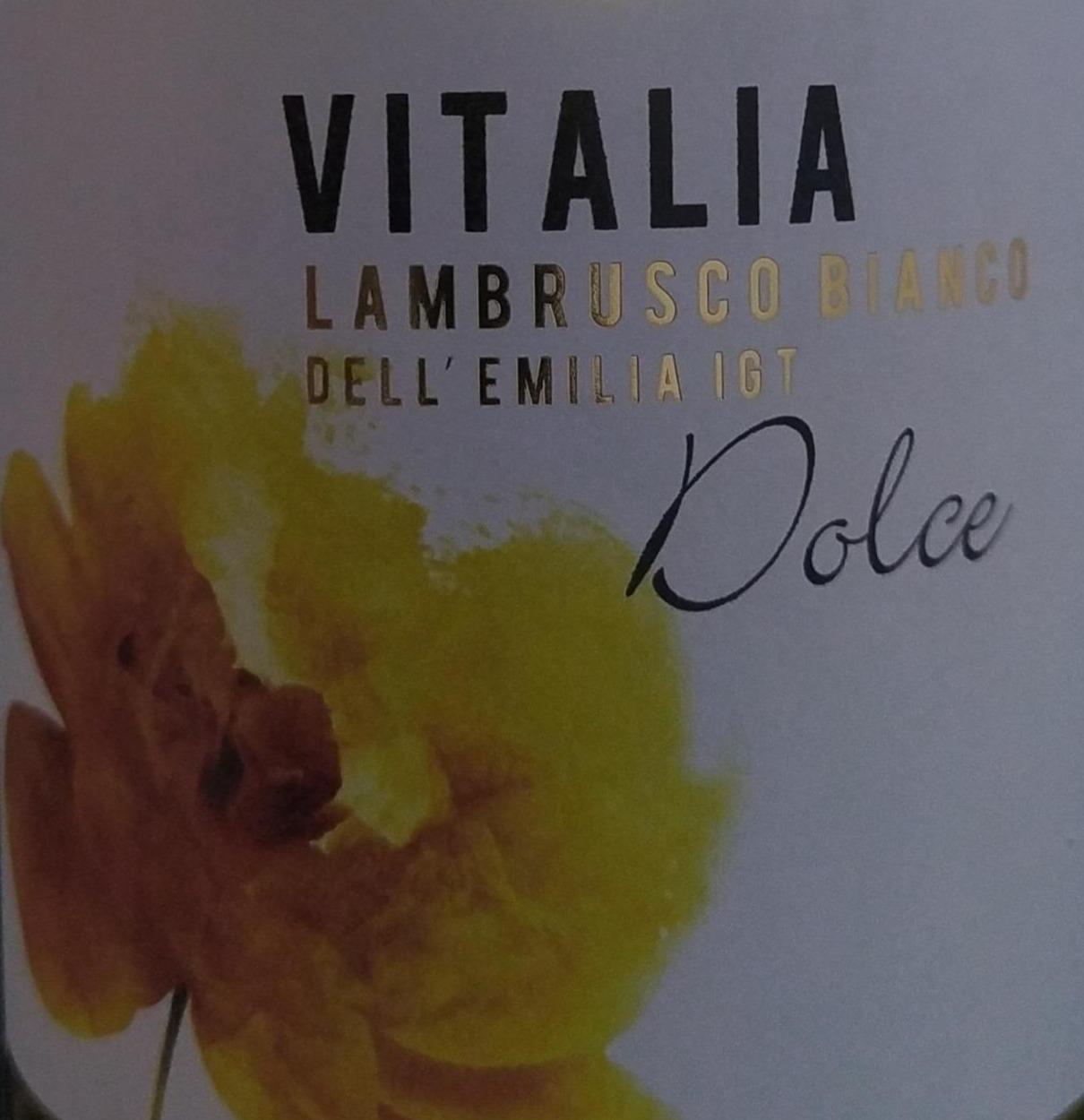 Фото - Вино виноградне ігристе біле напівсухе Lambrusco Bianko Vitalia