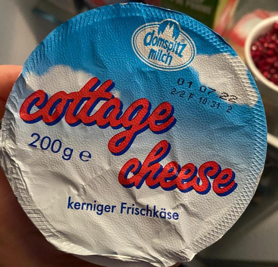 Фото - Cottage Cheese kerniger Frischkasäse Domspitz milch