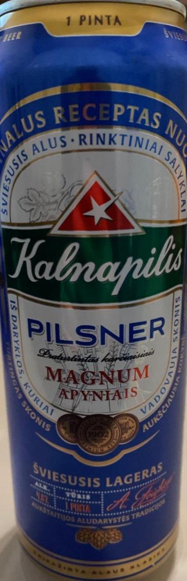 Фото - Пиво 4.6% світле Pilsner Kalnapilis