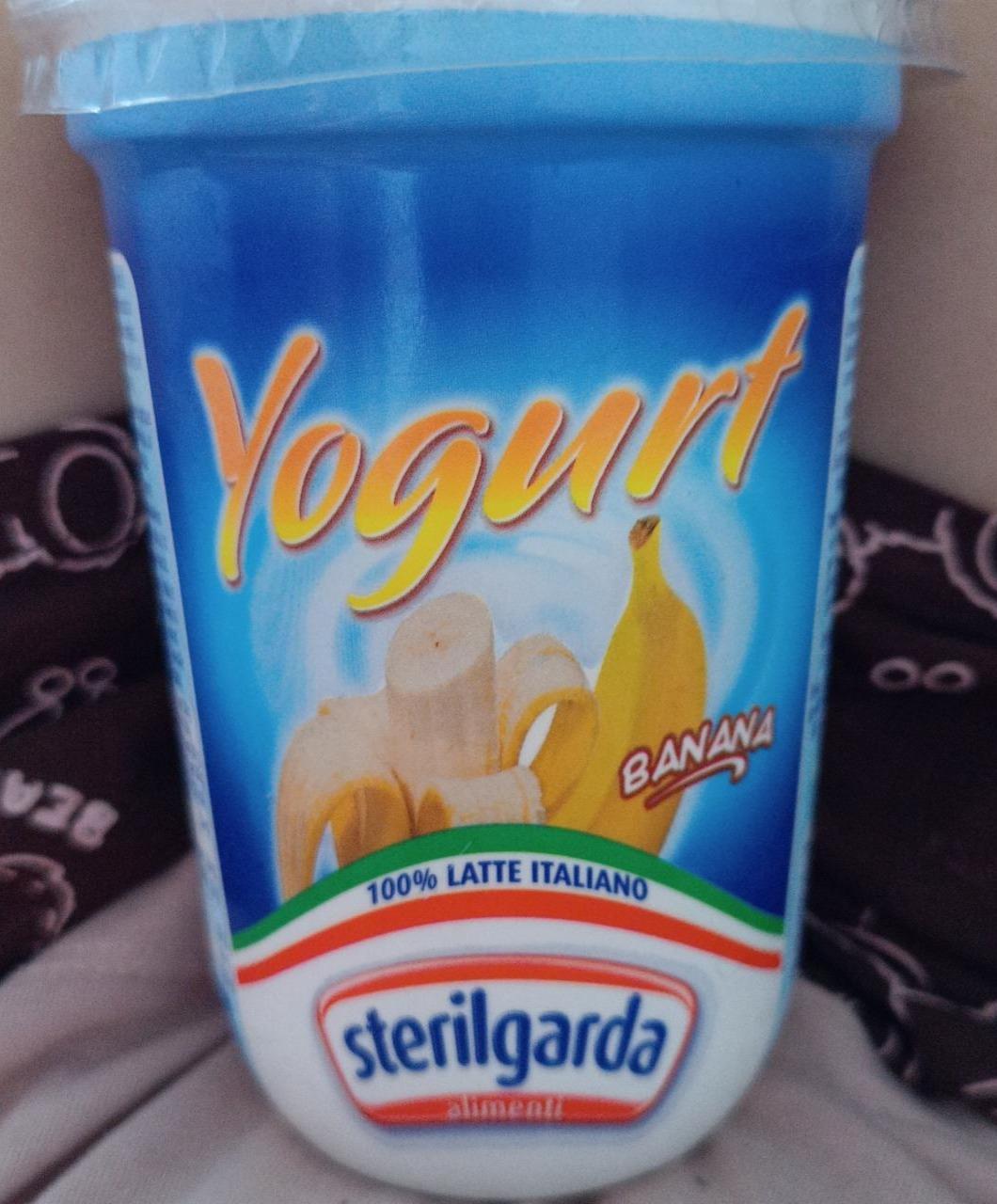 Фото - Йогурт зі смаком банану Yogurt Banana Sterilgarda