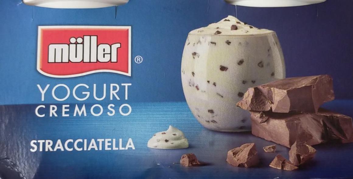 Фото - Вершковий йогурт з шоколадом Stracciatella Müller