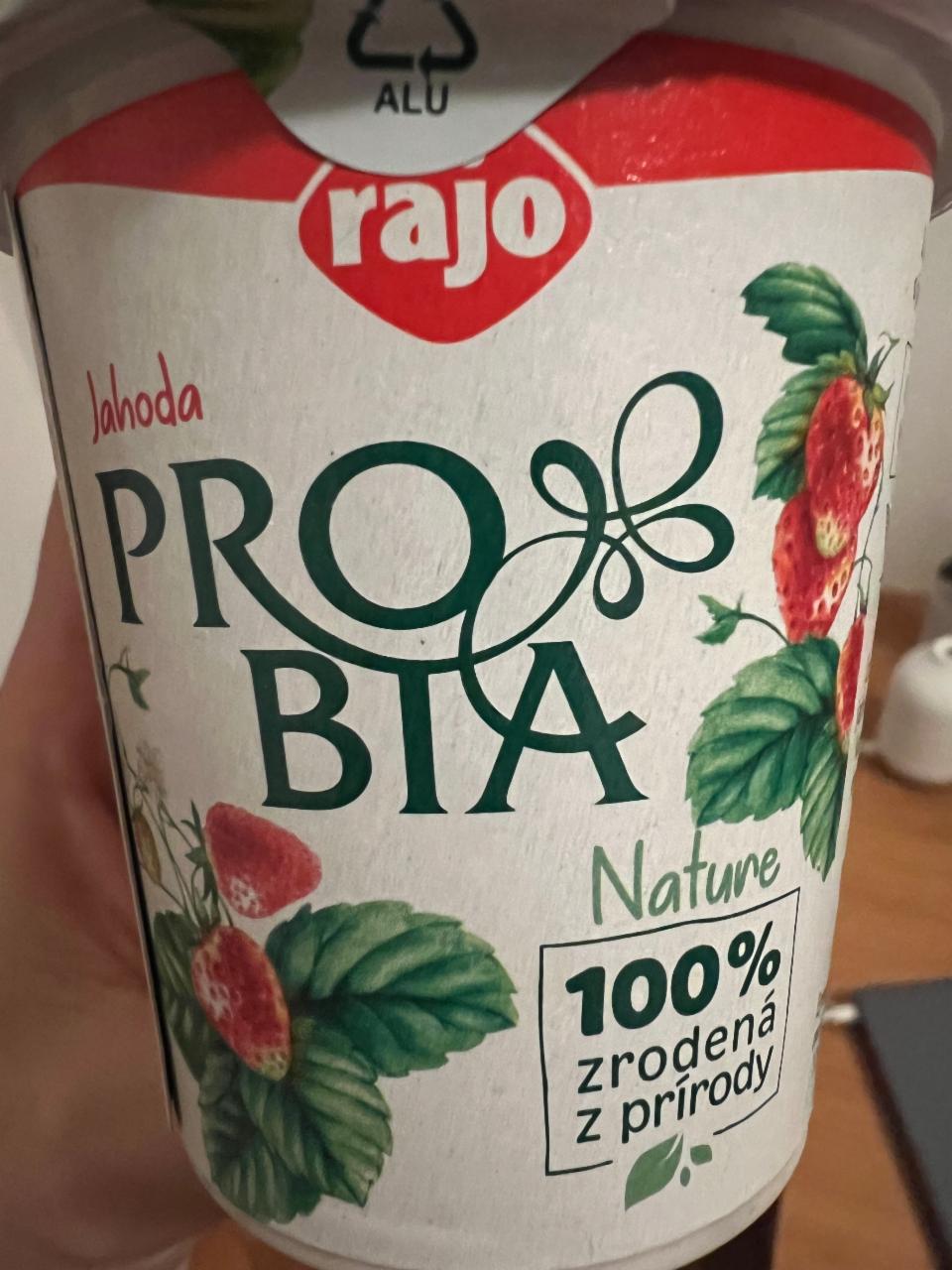 Фото - Йогурт зі смаком лісної ягоди Rajo