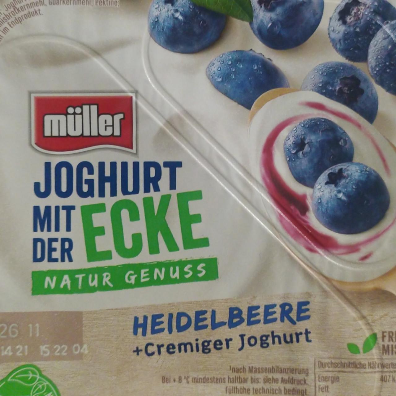 Фото - Йогурт зі смаком лохини Müller