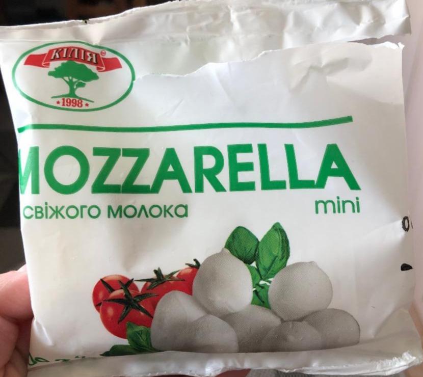 Фото - Сир зі свіжого молока Mozzarella Mini Кілія