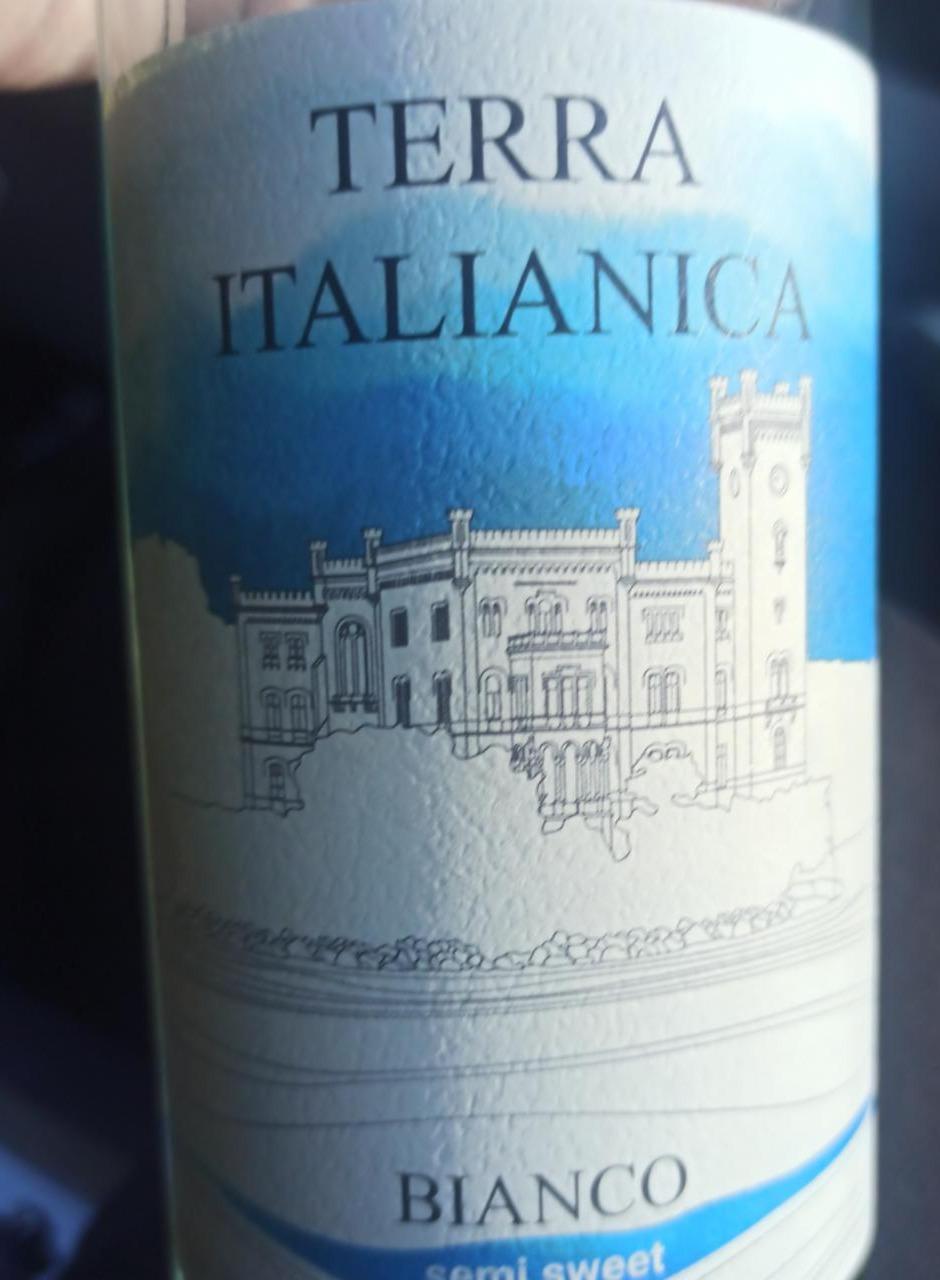 Фото - Вино біле напівсолодке Bianco Amabile Terra Italianica