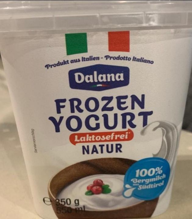 Фото - Йогур заморожений без лактози натуральний Dalana