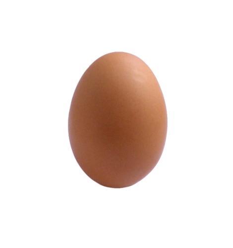 Фото - яйце куряче сире