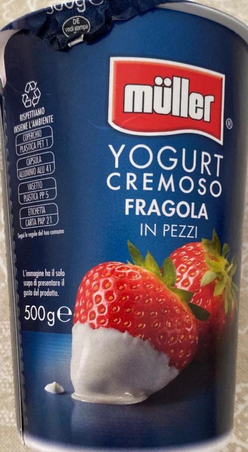 Фото - Yogurt cremoso fragola in pezzi Müller