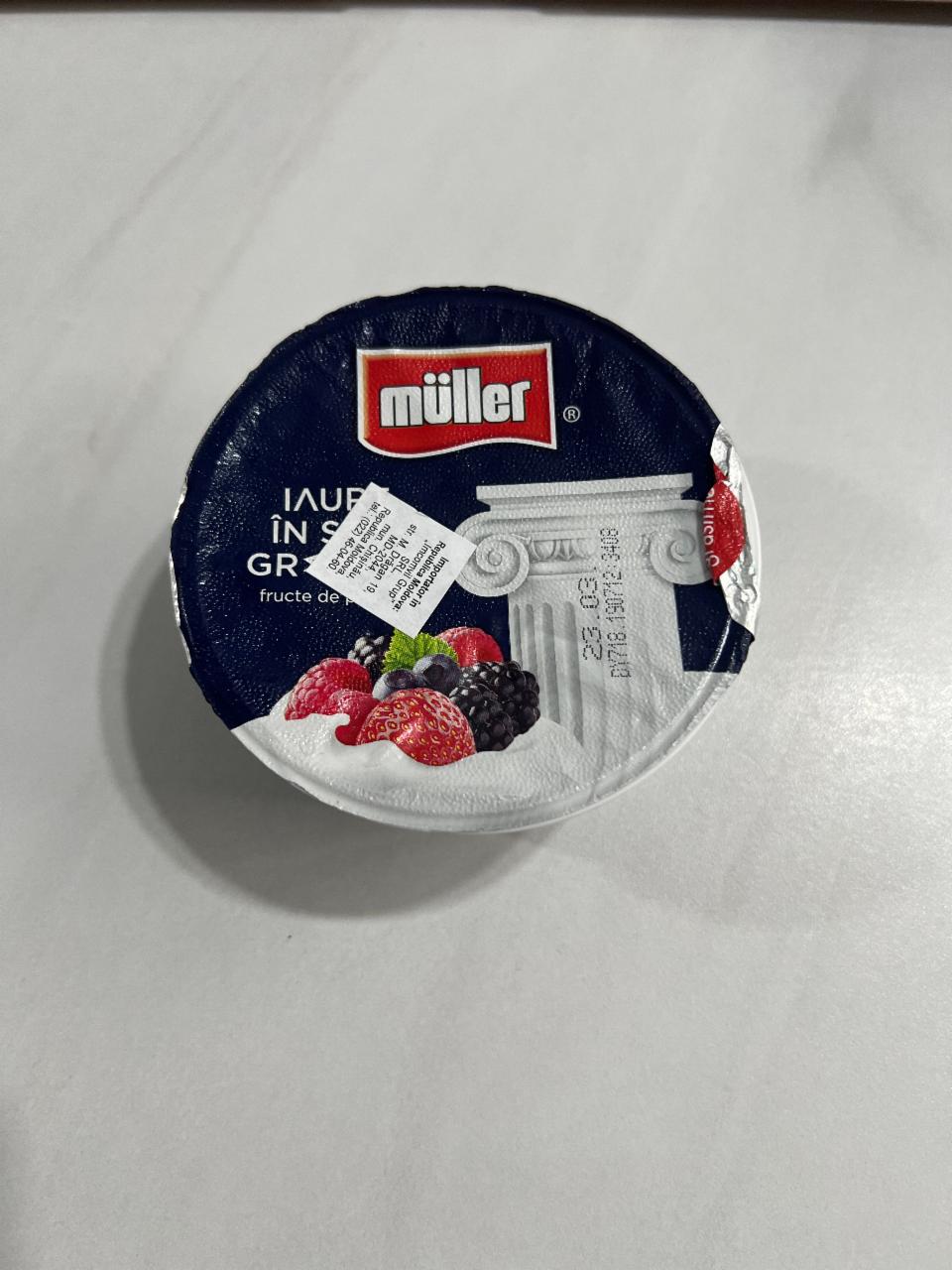 Фото - Грецький йогурт Лісові фрукти Müller