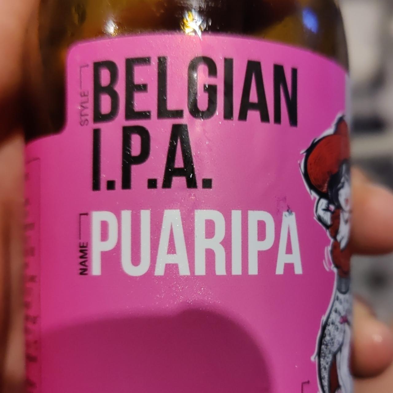 Фото - Пиво 5.5% напівтемне нефільтроване непастеризоване Pauripa First Dnipro Brewery