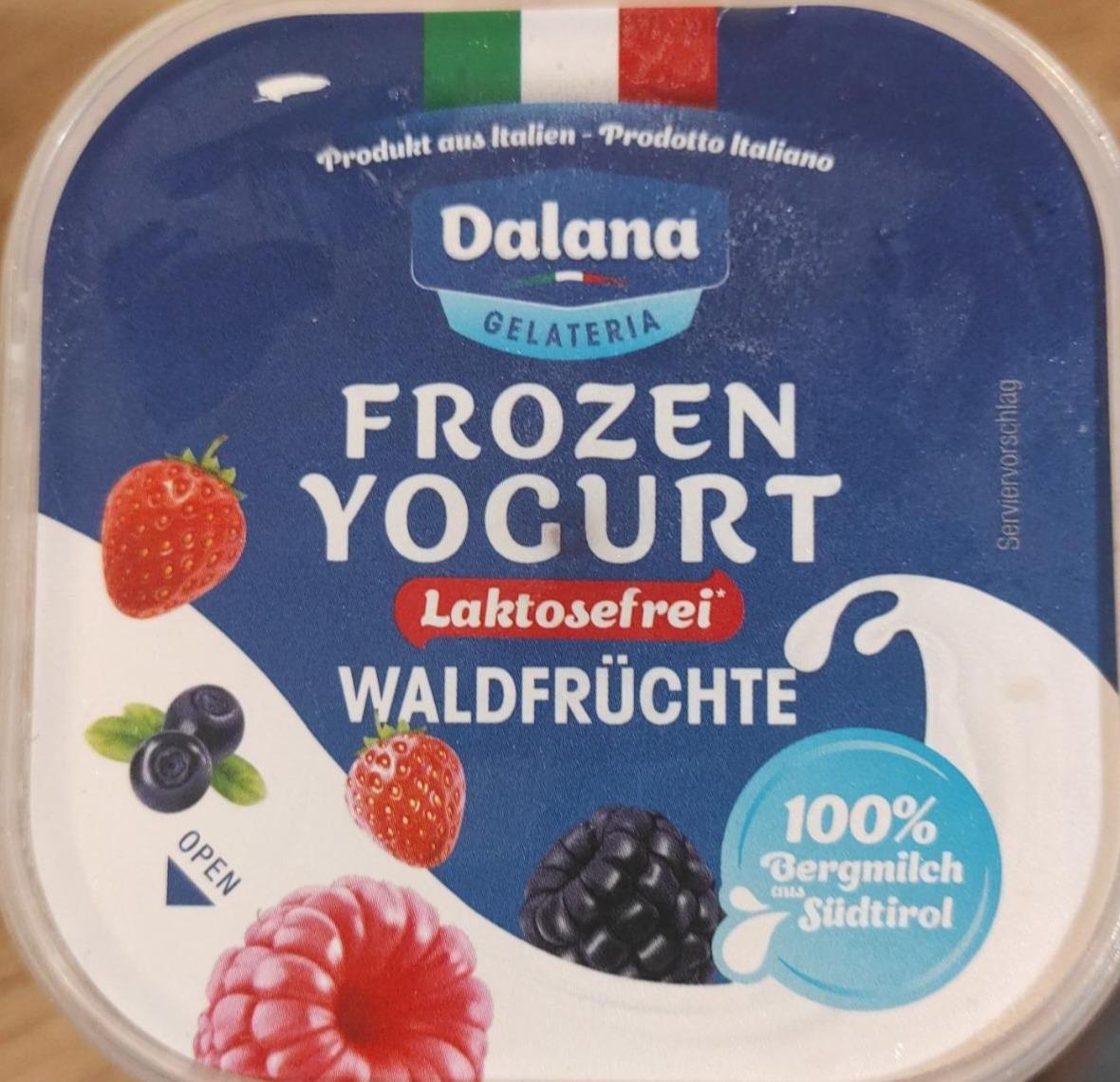 Фото - Йогурт з лісовими ягодами без лактози заморожений Frozen Yogurt Dalana